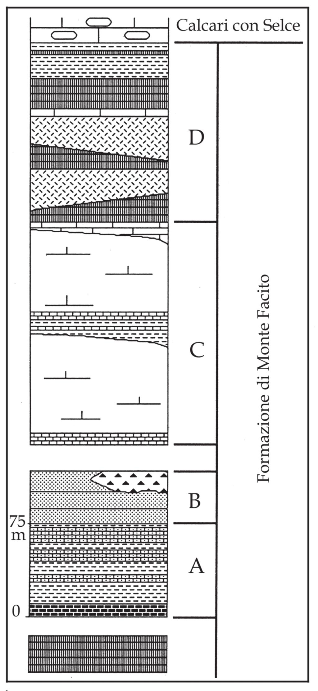 184 APAT - CNR - COMMISSIONE ITALIANA DI STRATIGRAFIA Allegato B Lithostratigraphic sequence of the Monte Facito Formation: this restoration is based on biostratigraphic data and on the field