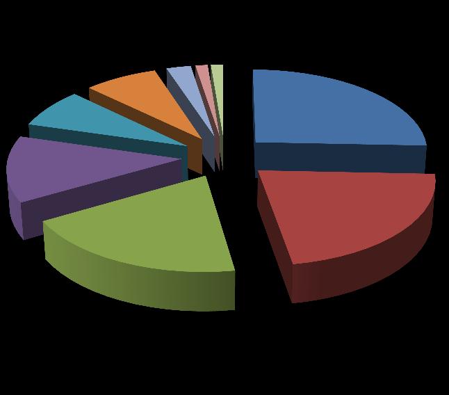 Prodotti turistici offerti (%) ATTIVITÀ E PRODOTTI Tradizione e Folclore 19% Arte e Cultura 24,5% Attività per ambito d intervento (%)