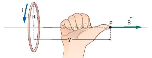 Il campo magnetico di una spira Il verso del campo è dato dalla regola della mano destra;