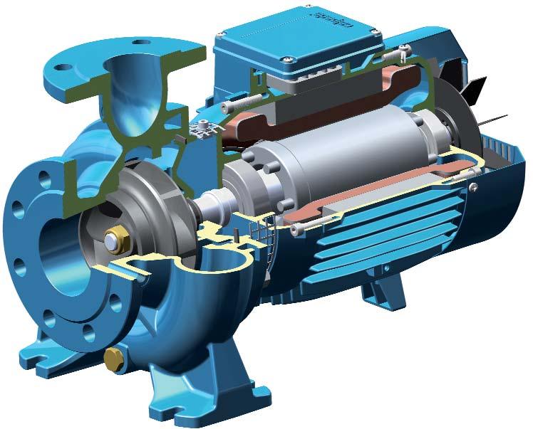 aratteristiche costruttive NM Idraulica d avanguardia La geometria della girante e del corpo pompa è ottimizzata per ottenere il massimo rendimento e la migliore capacità di aspirazione.