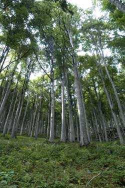 promozione del progetto della Regione Veneto A scuola nei Parchi - Guardiani della Natura.