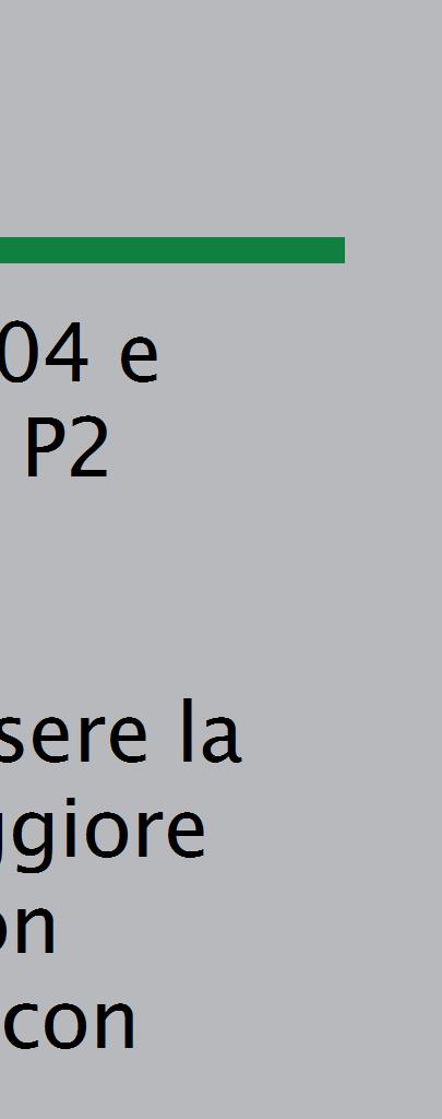 Il prefiltro 301 P2 è dotato di un attacco speciale che permette di