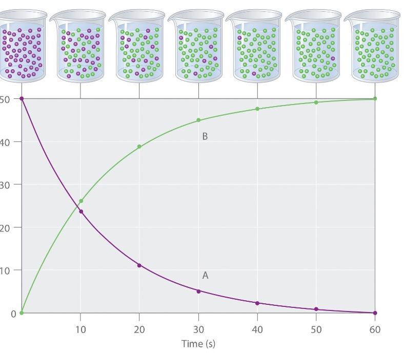 S P [P] = aumenta nel tempo [S]= diminuisce nel tempo v = Δ[P] = _ Δ[S] Δt Δt [S] [P] Col procedere della reazione le curve