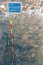 s.l.m. La granulometria di queste deposizioni è solitamente grossolana: si tratta principalmente di sedimenti calcarei ciottolosi e ghiaiosi a matrice prevalentemente sabbiosa.