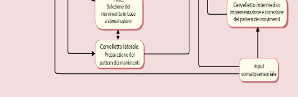 ) - Progetto su come eseguire il movimento (come voglio farlo?