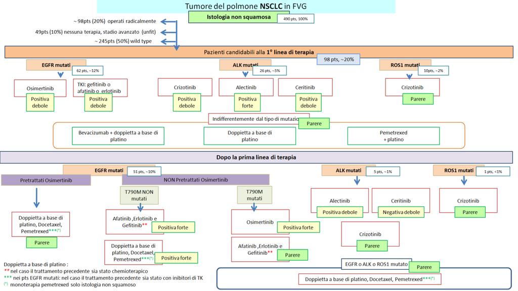Grafico delle Raccomandazioni FOIFVG e uso atteso Figura 1: Flow chart con la definizione del posto in terapia dei farmaci disponibili in prima e seconda linea per il carcinoma polmonare non a