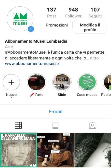 Profilo Facebook Abbonamento Musei Lombardia: 7.