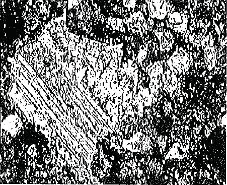 Il marmo mostra una struttura debolmente eteroblastica, a grana piuttosto omogenea, con valori massimi intorno al mm.