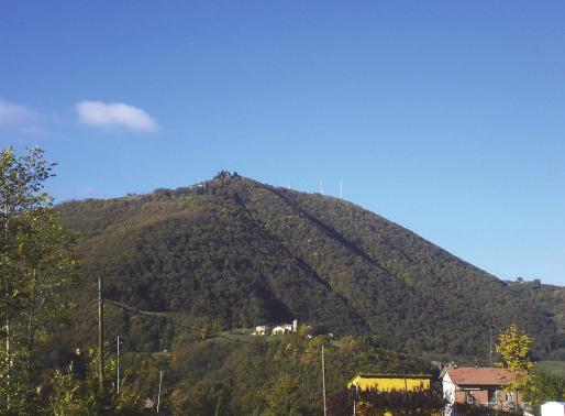 Gli unici elementi che emergono sono le antenne localizzate nel sito per l emittenza radiotelevisiva e le torri del Castello di Monfestino.