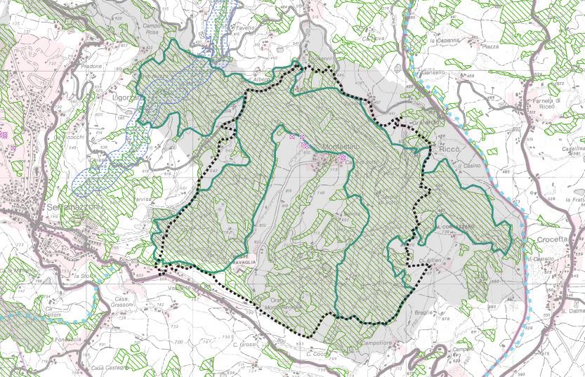 31) proposta di paesaggio naturale e seminaturale protetto della collina occidentale modenese sistema forestale boschivo aree forestali (art.