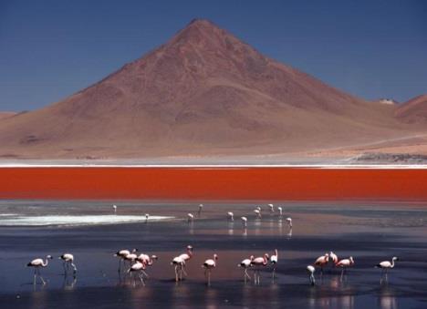 mille tonalità, come in un immensa, primordiale tavolozza di colori. Cena libera. Pernottamento nell'hotel JARDINES DE UYUNI o similare.