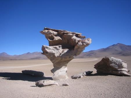 Lungo il percorso visita dell "Arbol de Piedra", una surreale formazione rocciosa naturale in mezzo al deserto.