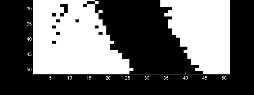 Se applicassimo la trasformata di Hough tramite la funzione hough() oppure la funzione radon()di Matlab direttamente su questa immagine in bianco e nero, otterremo un numero di linee possibili molto