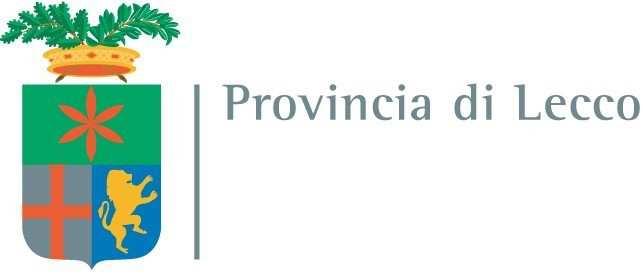 RESOCONTO QUESTIONARI DI VALUTAZIONE QUALITA DEI SERVIZI OFFERTI DAL SISTEMA MUSEALE DELLA PROVINCIA DI LECCO La Provincia di Lecco, in occasione della realizzazione del Bilancio Sociale dell Ente,