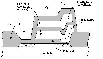 54 Struttura nterna - EEPROM Matrice programmabile EEPROM Floating gate