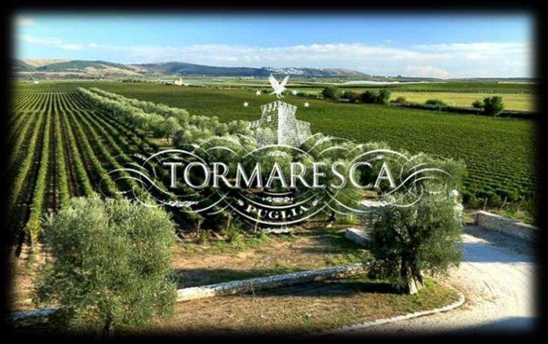 L AZIENDA L azienda Tormaresca è costituita da due tenute situate nelle aree più vocate alla tradizione vitivinicola della regione: Tenuta Bocca di Lupo nella DOC Castel