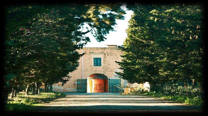 La tenuta di Bocca di Lupo sorge in agro di Minervino Murge, nell area DOC Castel del Monte, a circa 250 m sul livello del mare.