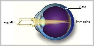 La cornea è una sottile pellicola trasparente che chiude anteriormente l occhio ed ha la forma di una calotta sferica. L umor acqueo è un liquido composto da acqua, sali e sostanze proteiche.