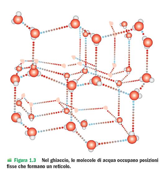 di H 2 O (H) viene a trovarsi in prossimità della regione carica (O) di un altra molecola