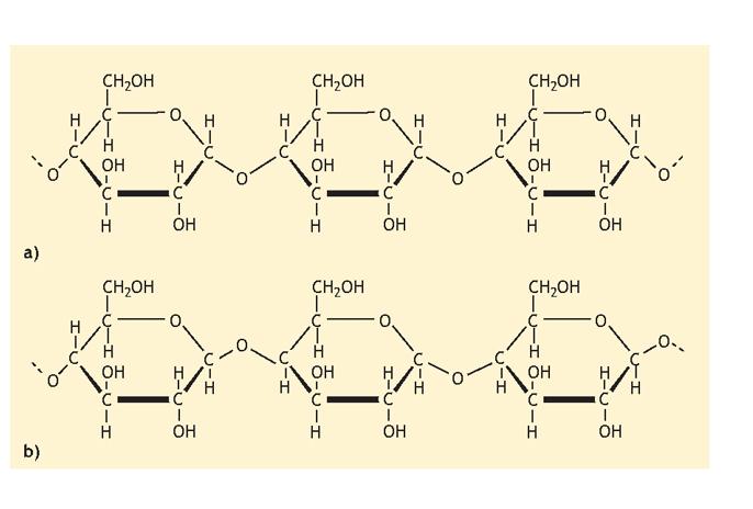 inseriscono sulle catene principali mediante legami a, 1-6 glicosidici