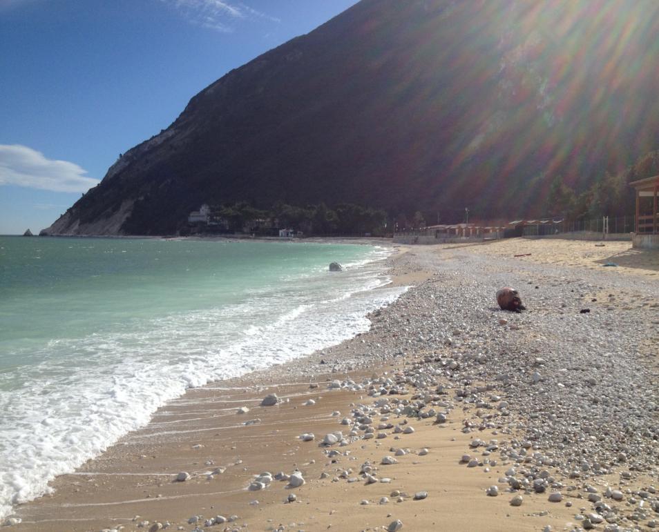 Short- and mediumterm response to storms on three Mediterranean coarse-grained beaches. Geomorphology 295, 738-748. 5. Grottoli, E.