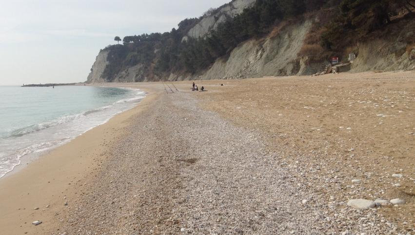 CLASSIFICAZIONE SPIAGGE DEL CONERO (Jennings and Shulmeister, 2002) Pure gravel beach: