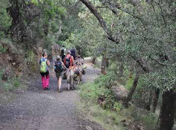 PROGRAMMA > Valle dei Tacchi dell Ogliastra > Monte Tisiddu > Villaggio di Ulassai GIORNO 2 Jerzu - Ulassai Partenza da Jerzu la mattina verso le colline, famose per la produzione del vino Cannonau,