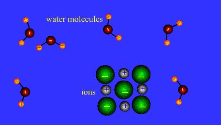 Dissoluzione di un solido ionico in acqua Le molecole di acqua polari si orientano in modo da avvicinare la parte positiva (idrogeno) agli ioni negativi del solido ionico.