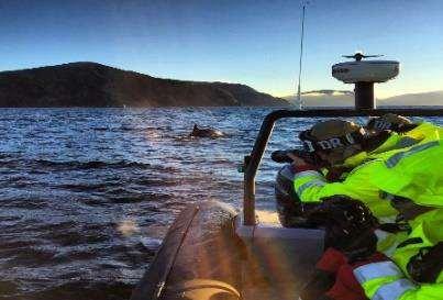 ESCURSIONI FACOLTATIVE TROMSØ FJORD CRUISE Al mattino, partenza verso i meravigliosi fiordi artici. Dalla nave potrete godere di meravigliosi paesaggi dove la montagna si immerge nel mare.