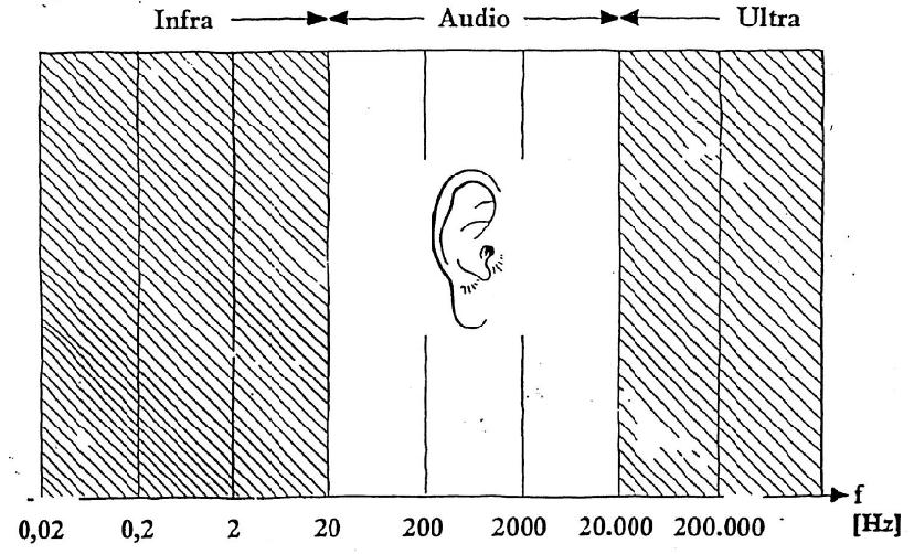 Il suono Non tutti i suoni possono essere percepiti dall orecchio umano. Il campo dei suoni udibili dall uomo è ristretto a gamme di frequenza approssimativamente da 20 Hz a 20 khz.