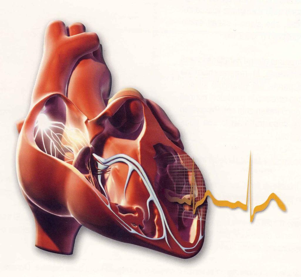 ECG: GESTIONE INFERMIERISTICA E INTERPRETAZIONE RAGIONATA