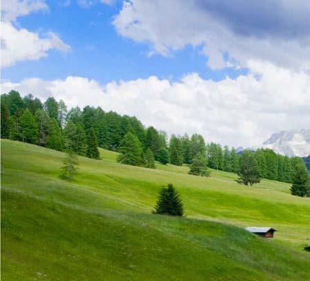 ENVIRONMENT PROGETTI INNOVATIVI PER LO SVILUPPO DEL TERRITORIO E PER LA TUTELA AMBIENTALE La mission di OUTSIDERS è perseguire