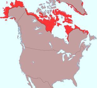 lingue polisintetiche yupik (famiglia eschimese, Alaska) lingue polisintetiche yupik (famiglia
