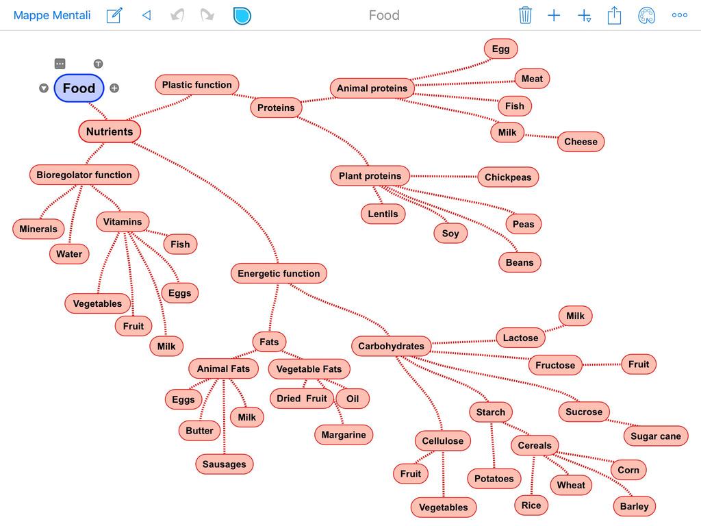 Mappa Concettuale riguardante i cibi e i loro principi nutritivi in lingua inglese realizzata dalla 3^ B.