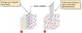 Per comprendere i meccanismi che portano alla formazione di una soluzione, osserviamo il mescolamento di due gas dove i legami tra particelle sono praticamente assenti.