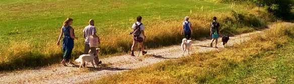 dom 17 novembre GIORNATA NAZIONALE DEGLI ALBERI L uomo che piantava gli alberi Foresta di Berignone Giornata nata per celebrare l importanza che i nostri patriarchi verdi hanno per la vita sulla