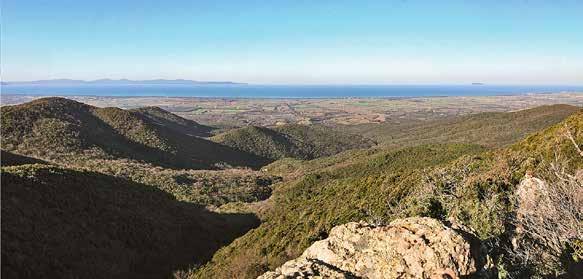 Aree Protette e Alta Val di Cecina Visite, escursioni, eventi e molto altro marzo-novembre 2019 Escursioni, eventi, incontri con esperti, esperienze di educazione ambientale, laboratori