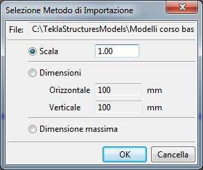 verticale indicate - Scegliendo Dimenisione massima verrrà inserito il cartiglio con le dimensioni del rettangolo magenta mostrato a video Il