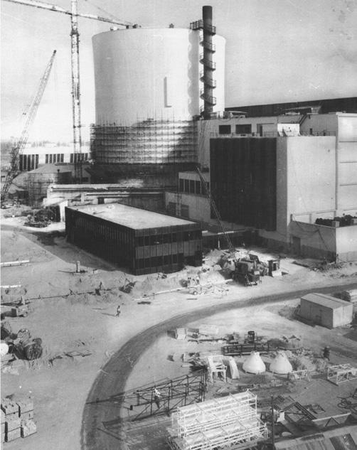 26 // 106 3.1 GENERALITÀ La centrale di Caorso era equipaggiata con un generatore nucleare di vapore da 2.