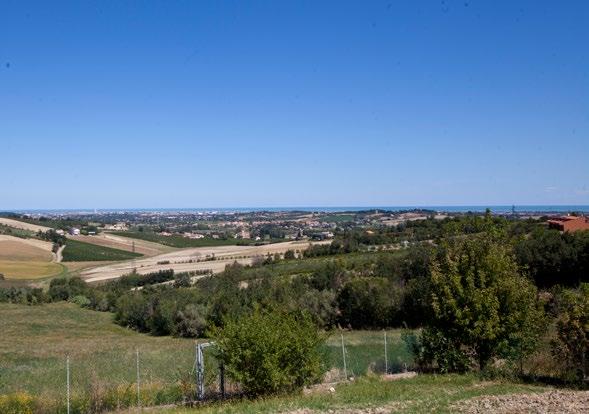 dell entroterra romagnolo. L immobile si suddivide su tre livelli: al piano seminterrato, di circa 160 mq. vi sono la lavanderia, centrale termica, sala giochi, palestra, una camera letto, un bagno.