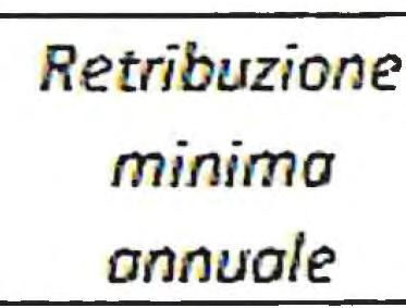 Retribuzione ANN02019 minima 14.