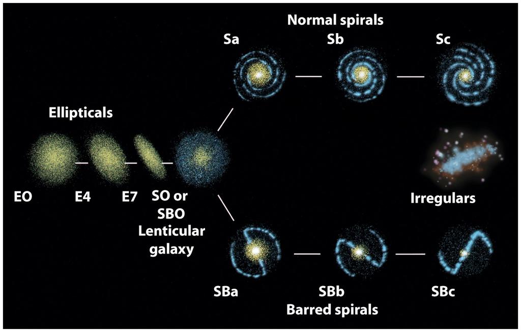 La classificazione di Hubble Rotazione lenta Rotazione veloce Diagramma a Forchetta di Hubble Spirali Normali Non è sequenza evolutiva!