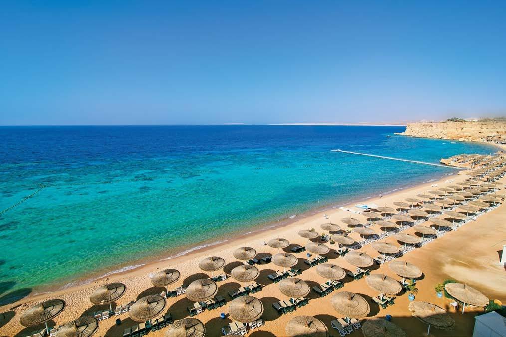 Su una delle più belle spiagge della costa di Sharm El Sheikh, sorge Il Veraclub Reef Oasis Beach Resort, in una posizione incantevole, su un mare bellissimo e caldo, con fondali corallini e