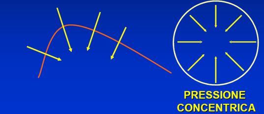 l elasticità confusione ELASTICITA : è la capacità di un materiale di