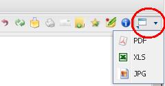 Excel sull icona presente in alto a destra; Esportare il report in formato JPG sull icona presente in alto a destra.