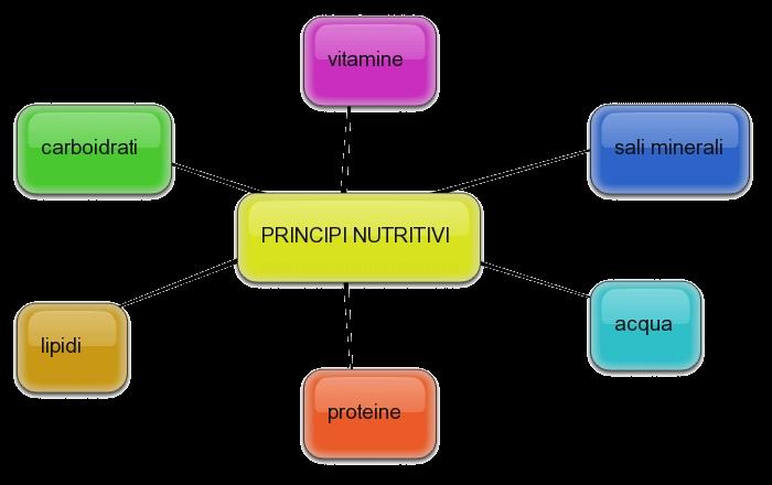 I principi nutritivi sono le sostanze assunte durante il processo di nutrizione; sono indispensabili alla vita e al