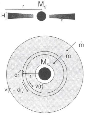 Dischi di accrescimento Scopi: - determinare la struttura dei dischi di accrescimento SOTTILI -