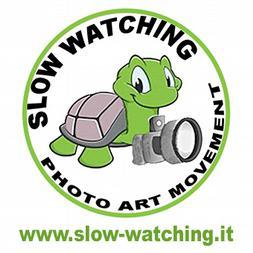 PARAMETRI DI LETTURA A - Attinenza idea Slow Watching B -