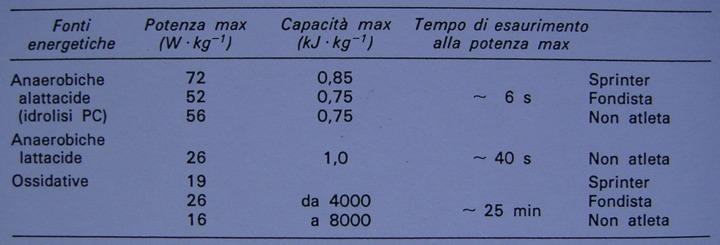 Alta intensità/breve durata - input metabolico ( benzina consumata ) può aumentare in una frazione di secondo di più di 50 volte (da ca 1 a 50 W kg -1, 286 143 mlo 2 kg -1 min -1 )!