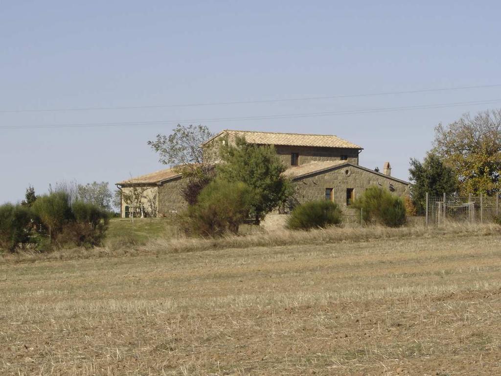 In questa porzione di territorio sono presenti, in località Poggio Buco ed Insuglietti, numerose